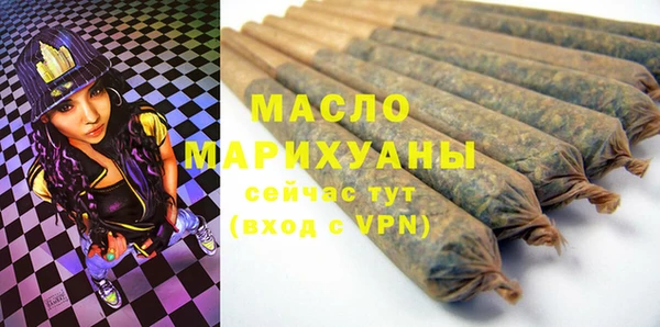 амф Гусев