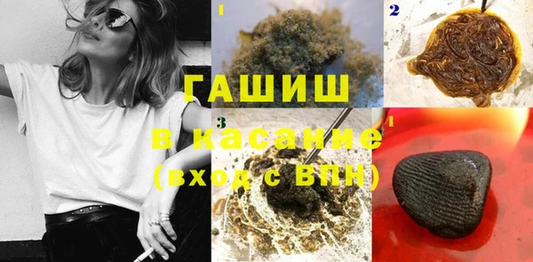 амф Гусев