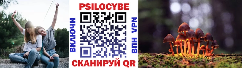 купить наркотики сайты  Иваново  мега ссылка  Псилоцибиновые грибы GOLDEN TEACHER 