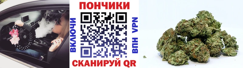 Бошки Шишки SATIVA & INDICA  площадка официальный сайт  ОМГ ОМГ рабочий сайт  Иваново  где продают наркотики 